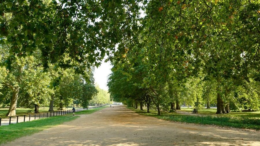 London: 24-Hour Hop-On Hop-Off Bus Pass - What the $33 pass really buys you