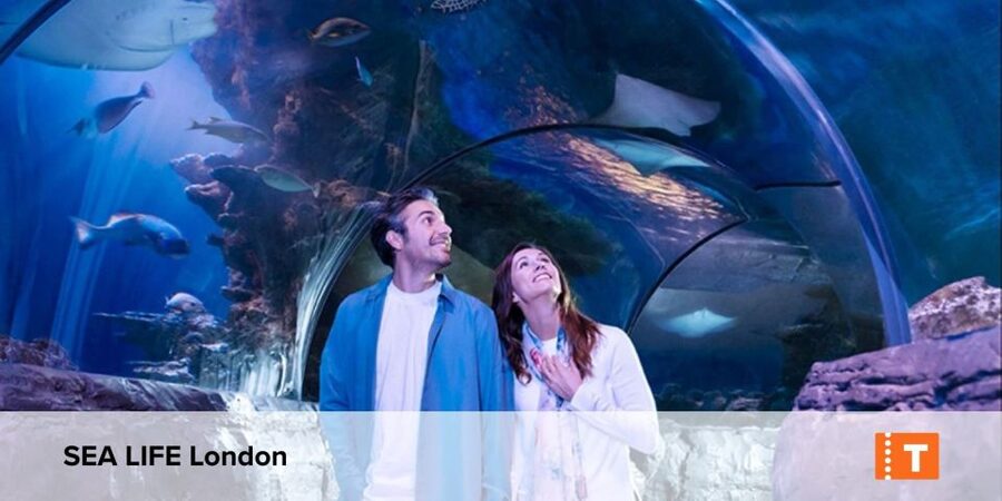 London City pass: Top attractions, Hop on Hop off & tours - What the London City Pass actually gives you