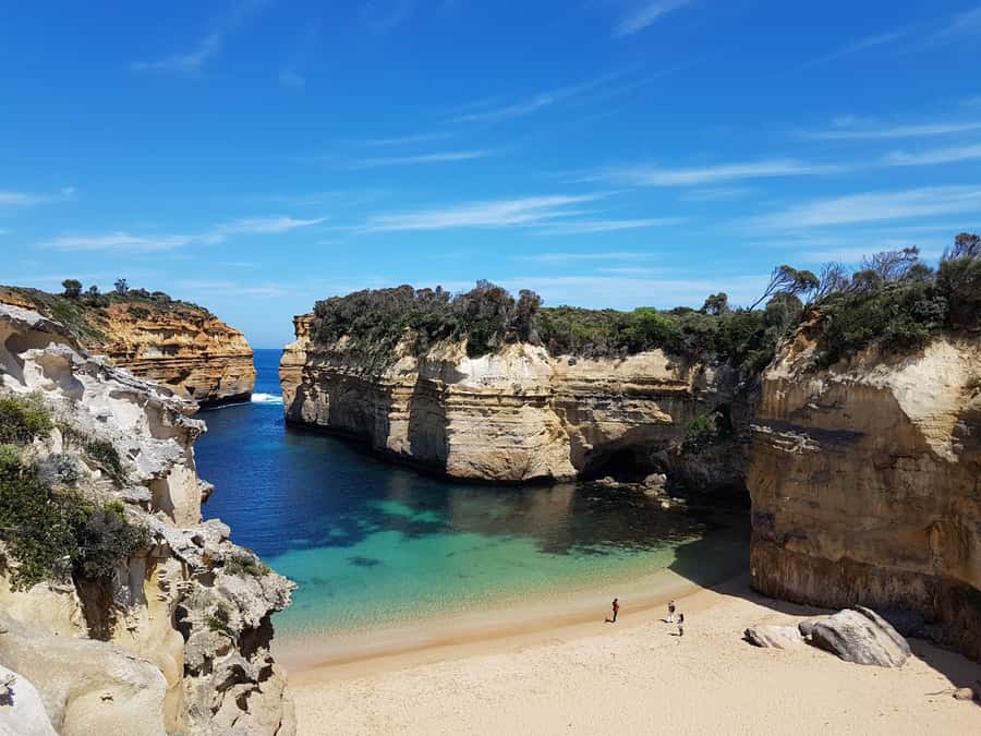 Luxe Bus Great Ocean Road Coastal Spectacular - Wildlife Wonders gives the day a conservation focus