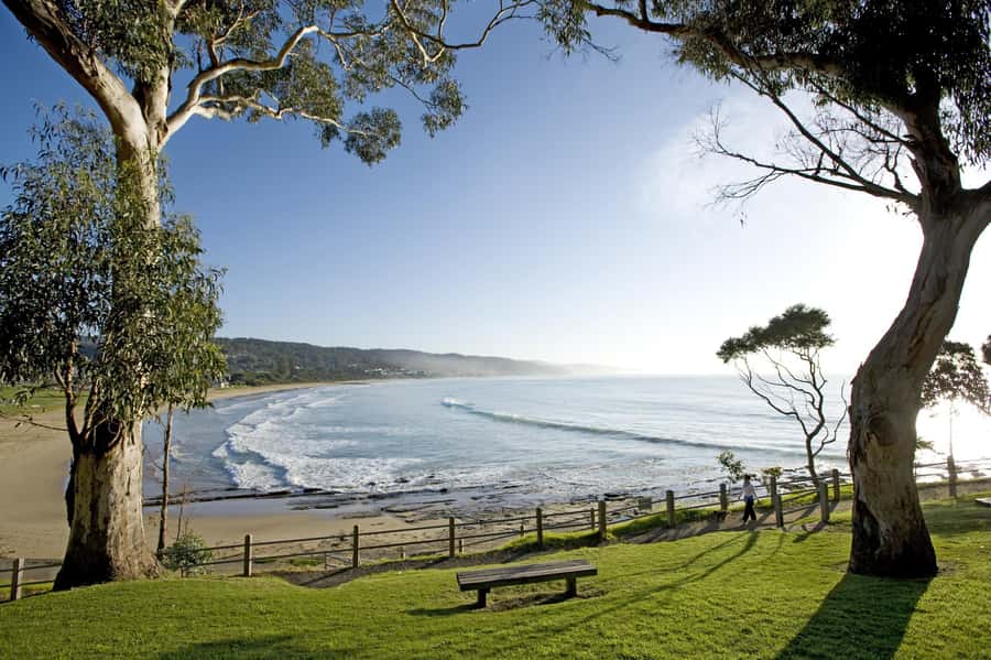 Luxe Bus Great Ocean Road Coastal Spectacular - Apollo Bay, Lorne, and the road built by returned soldiers