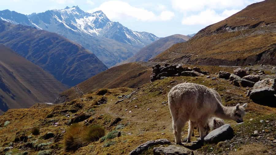Machu Picchu 2 Days / 1 Night (By Bus) - From high mountain air to Santa Maria