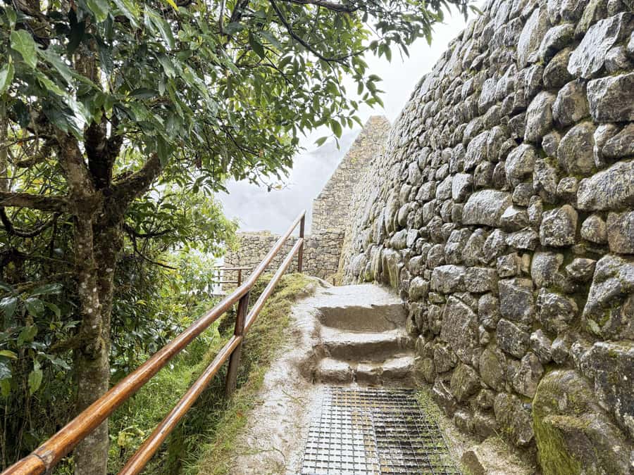 Machu Picchu Entry Ticket and Bus from Aguas Calientes - A practical plan for your visit