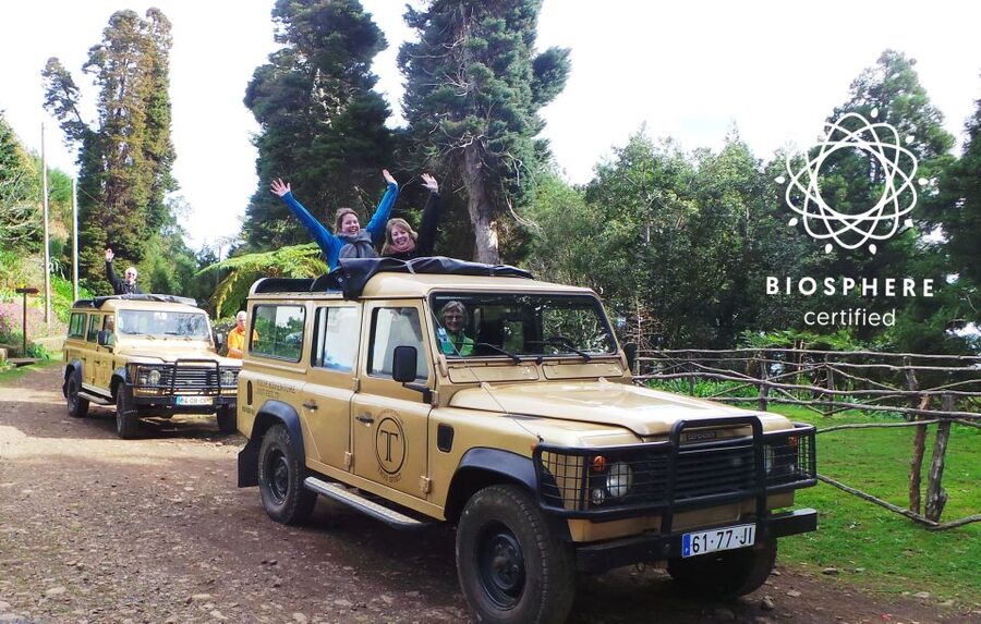 Madeira East or West Private Half-Day Tour by Open-Top Jeep - Pick Your Madeira: High Peaks or Sea Cliffs
