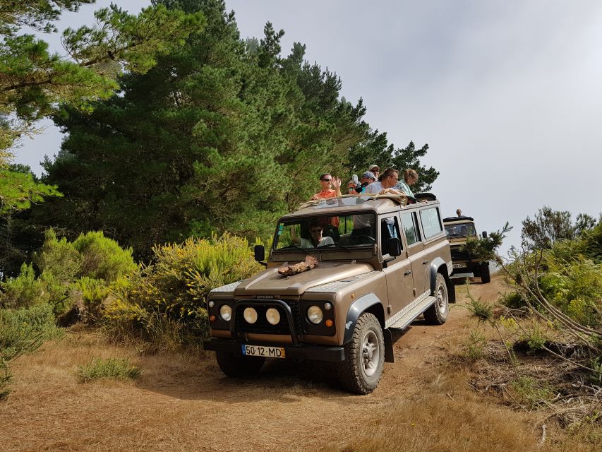 Madeira East or West Private Half-Day Tour by Open-Top Jeep - Timing, Pickup, and What to Bring