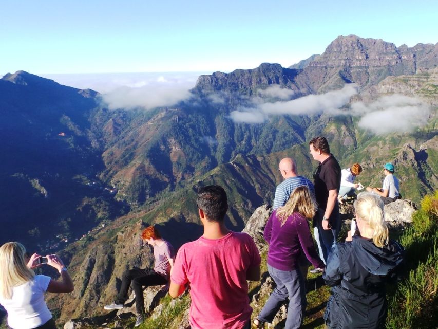 Madeira East or West Private Half-Day Tour by Open-Top Jeep - Santo da Serra and Its Exotic Woodlands