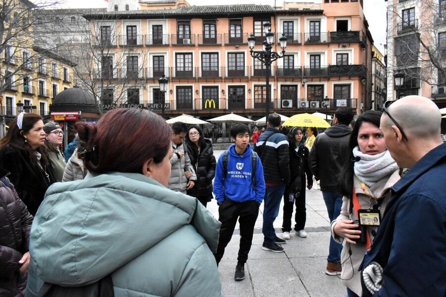 Madrid: Guided Tour to Toledo - Who should book this Toledo tour?