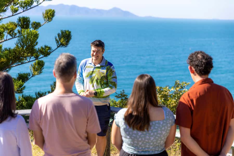 Magnetic Island: Guided Bus Tour with Morning Tea - Cockle Bay, Picnic Bay, and the island story