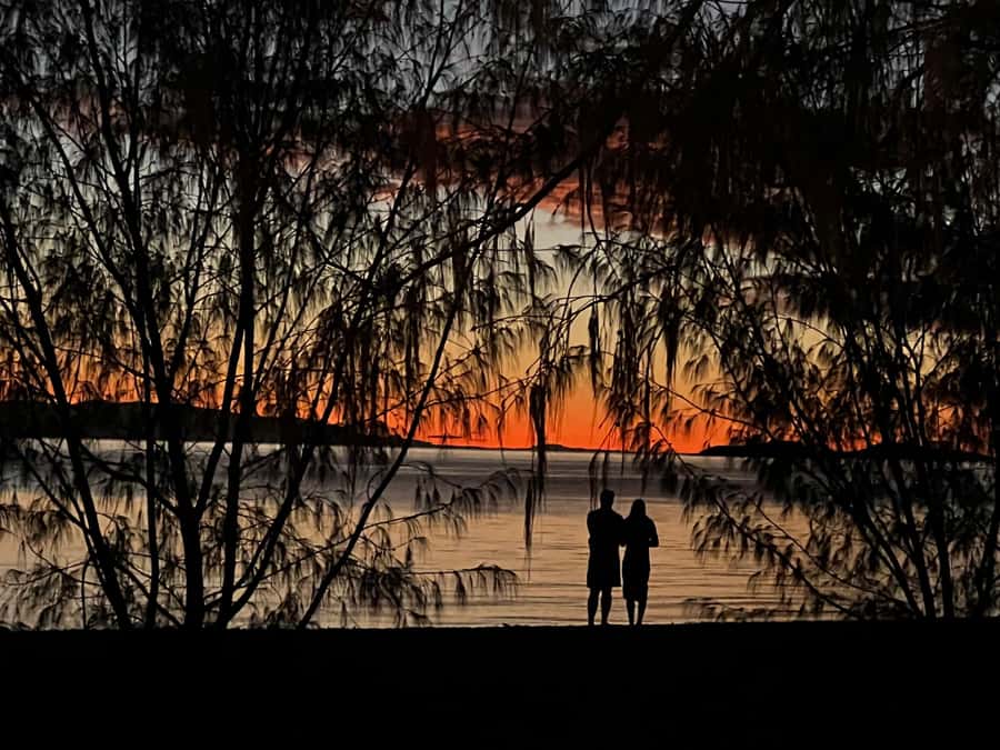 Magnetic Island: West Coast Eco Adventure Bus Tour - Wildlife watching needs realistic expectations