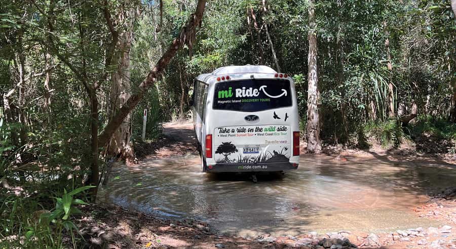 Magnetic Island: West Coast Eco Adventure Bus Tour - Why Magnetic Island’s west coast feels different