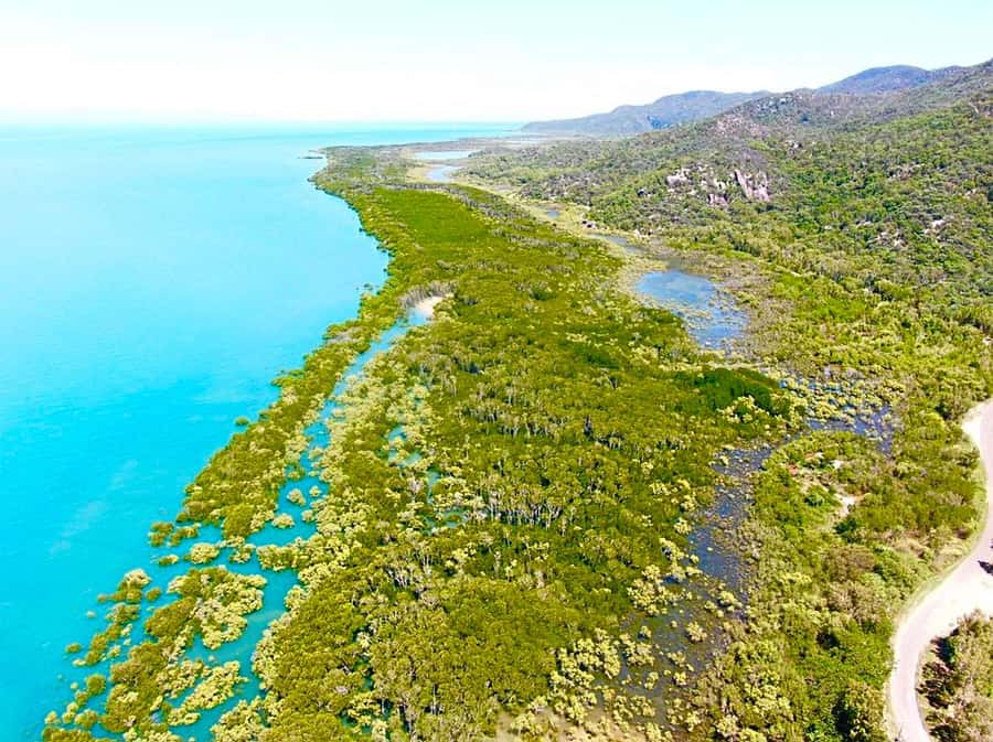 Magnetic Island: West Coast Eco Adventure Bus Tour - Picnic Bay adds history before the rough tracks