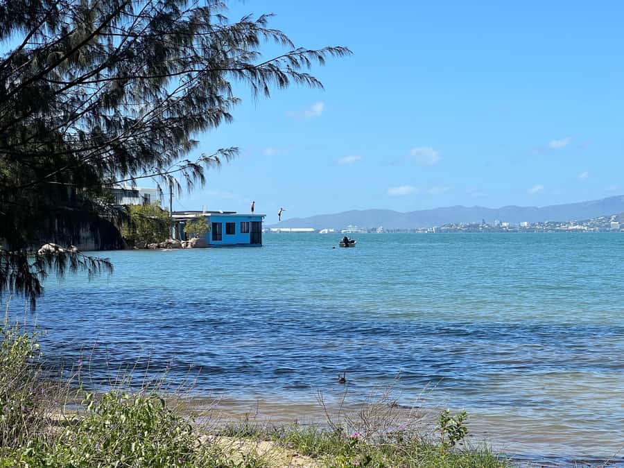 Magnetic Island: West Coast Eco Adventure Bus Tour - Cockle Bay brings mangroves and coastal ecology