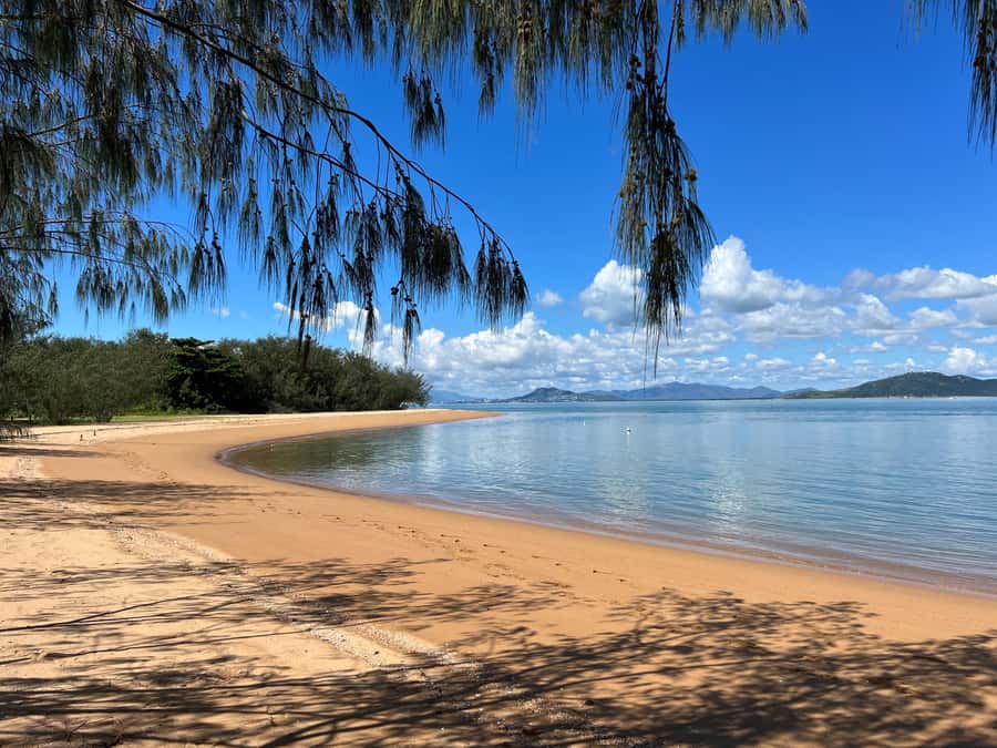 Magnetic Island: West Coast Eco Adventure Bus Tour - Morning tea makes the conservation stop feel generous