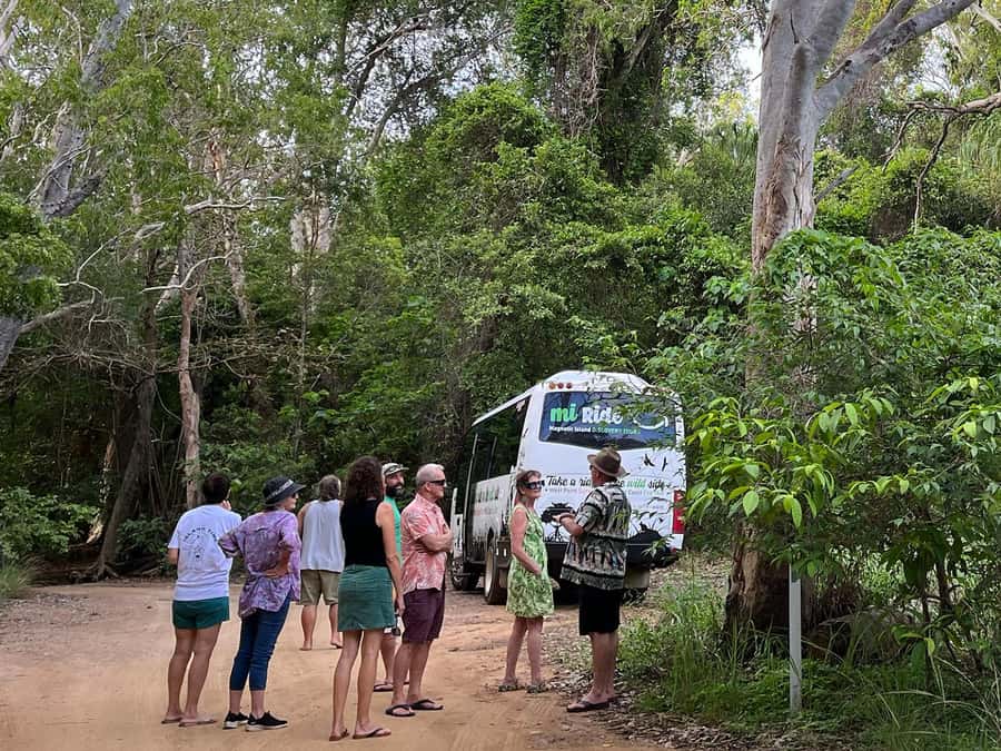 Magnetic Island: West Coast Eco Adventure Bus Tour - Starting at Nelly Bay at 8:15 a.m.