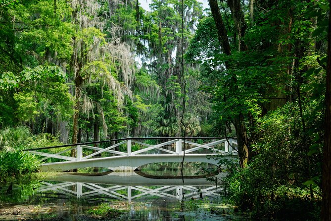 Magnolia Plantation Tour with transportation PLUS City Bus Tour - A full Charleston day, from Magnolia gardens to city streets