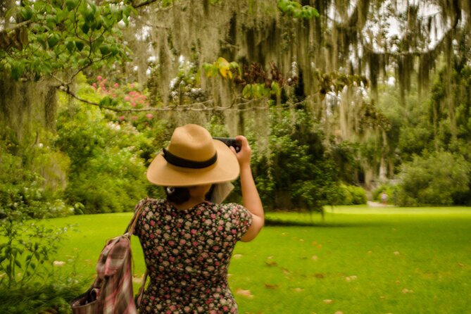 Magnolia Plantation Tour with transportation PLUS City Bus Tour - Charleston from an air-conditioned bus