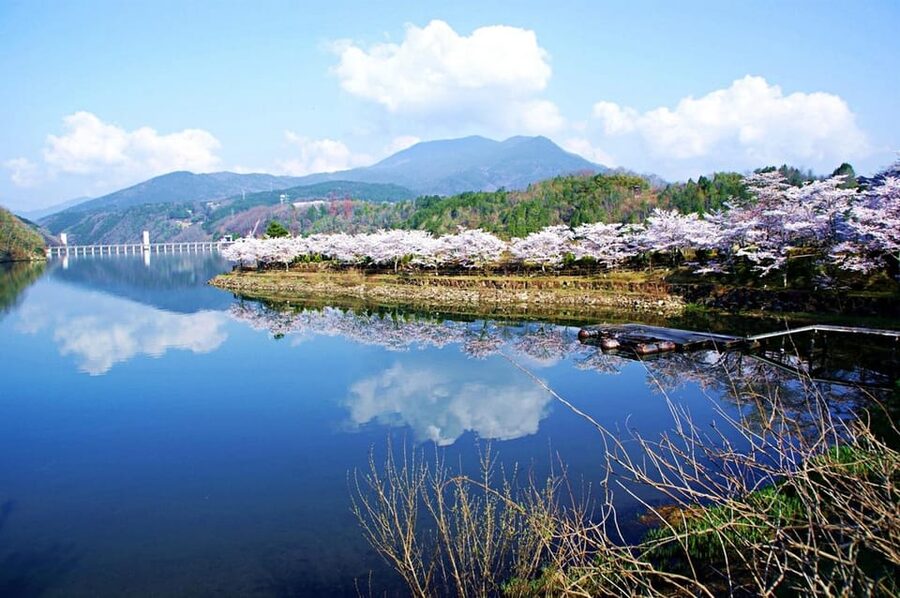 Magome-juku, Tsumago-juku & Ena-kyo 1d Bus Tour from Nagoya - Why the Nakasendo towns are worth your day