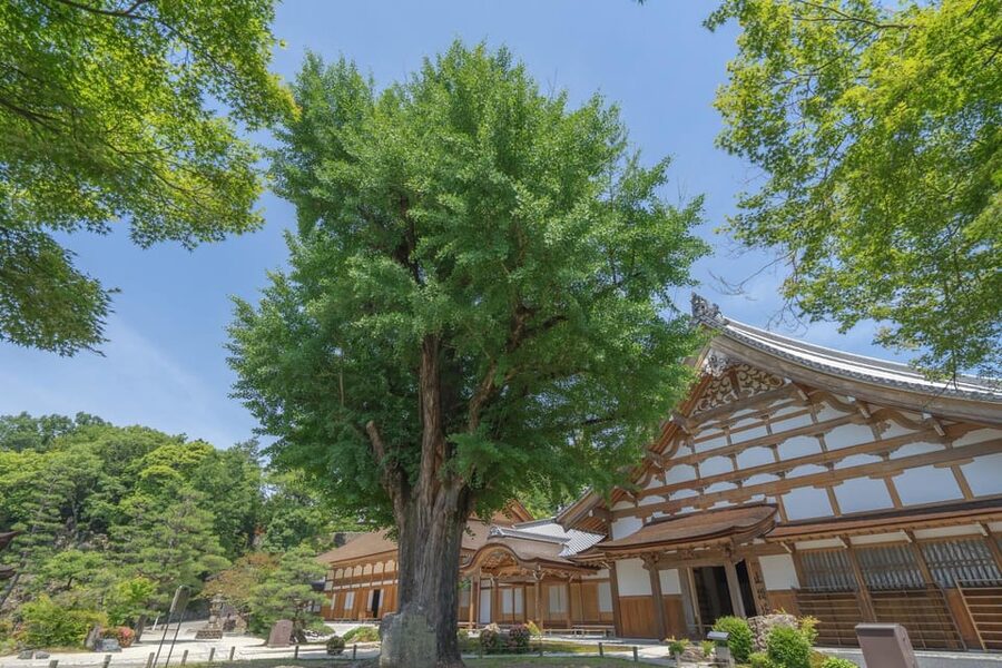 Magome-juku, Tsumago-juku & Ena-kyo 1d Bus Tour from Nagoya - Ena Gorge Observatory delivers the big view