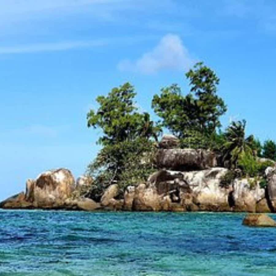 Mahe Discovery Bus Tour - Beau-Vallon gives you an easy first look