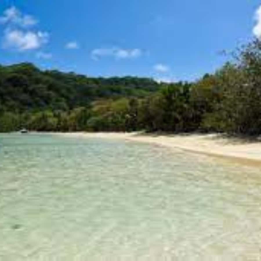 Mahe Discovery Bus Tour - Anse Intendance brings a different kind of coast