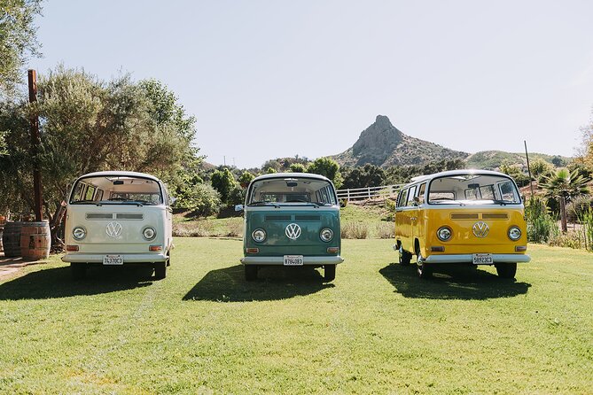 Malibu: Vintage VW Bus and Vineyard Tour - Local snacks and an easy finish