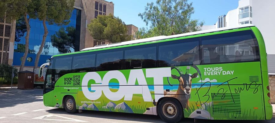 Mallorca: 3-hour bus tour around Calvià with 2 stops - Islas Malgrats viewpoint and the coastal towns