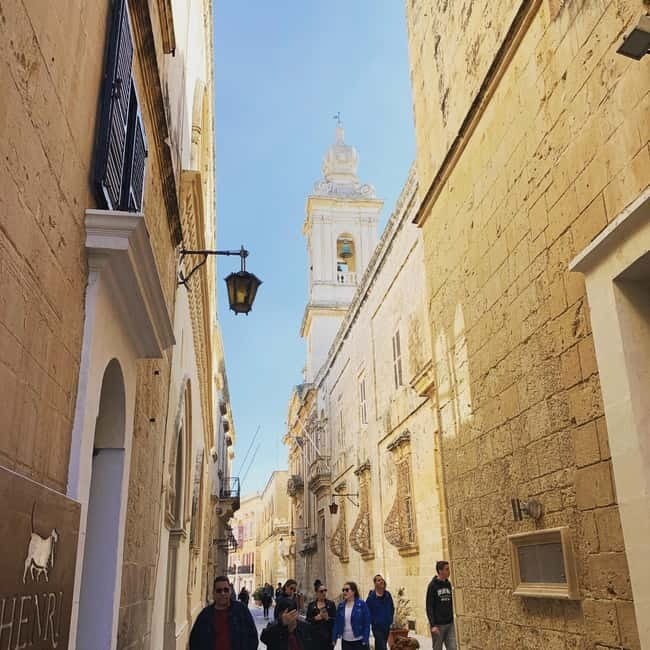 Malta: 5 hr Vintage Bus Tour - Mdina & Blue Grotto inc. food - Dingli Cliffs is short, high, and photo-friendly