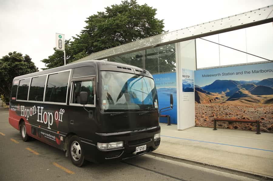 Marlborough: Hop-On Hop-Off Wine, Brewery, and Wonders Tour - A flexible way to see Marlborough