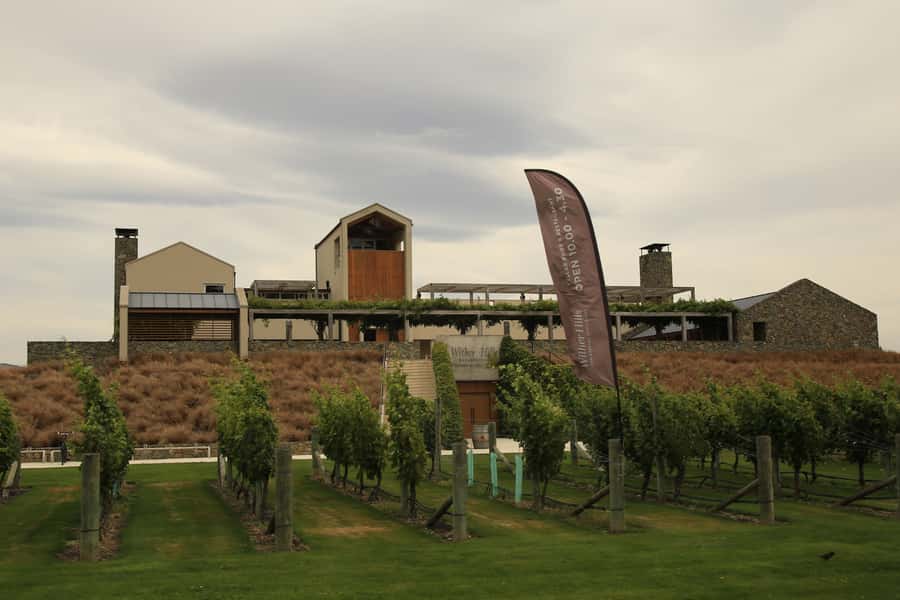Marlborough: Hop-On Hop-Off Wine, Brewery, and Wonders Tour - Starting from Picton or Blenheim