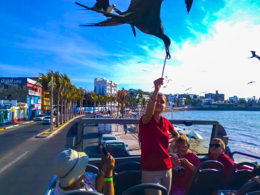 Mazatlán: Double-Decker Bus, Cliff Diving & Walking Tour - The 8.5-kilometer Malecón ride