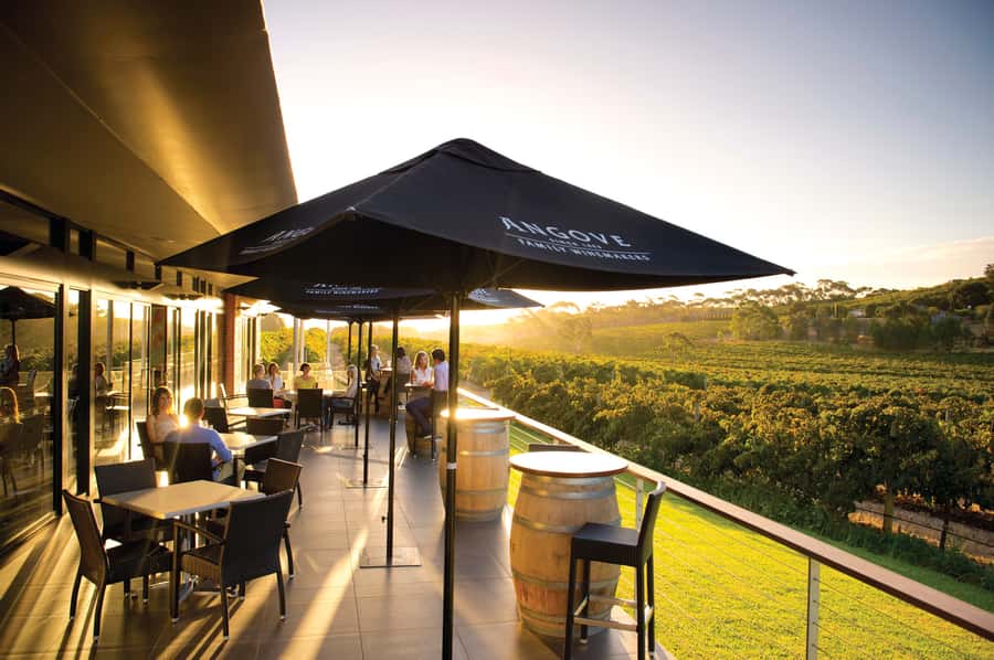 McLaren Vale North: Hop-On Hop-Off Tour - Choosing four stops from more than 15 wineries