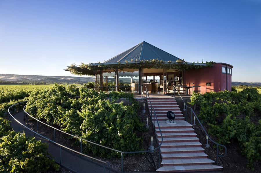 McLaren Vale North: Hop-On Hop-Off Tour - The guides are a large part of the experience