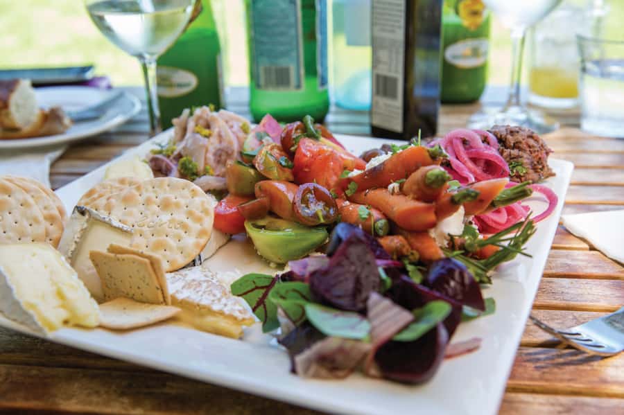 McLaren Vale North: Hop-On Hop-Off Tour - From Adelaide or McLaren Vale, the day starts simply
