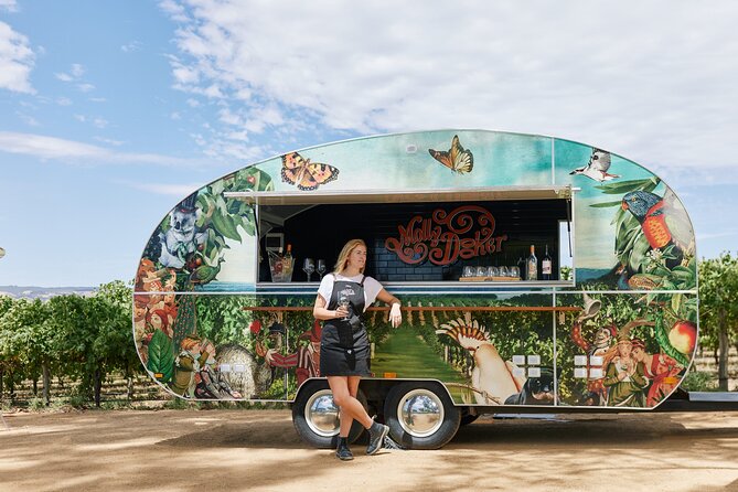 McLaren Vale North Hop-On Hop-Off Wine Tour - Who will enjoy this most