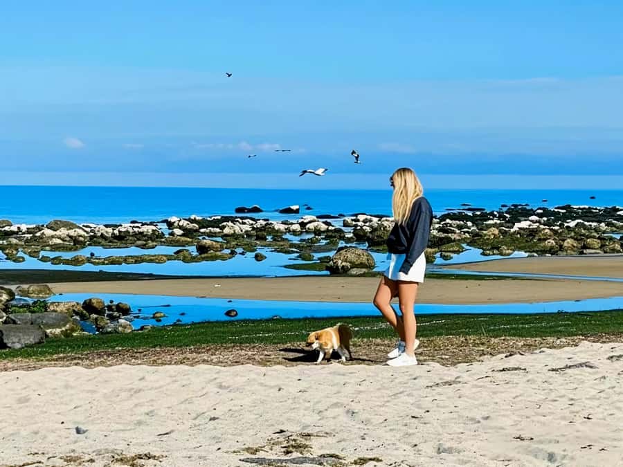 Melbourne Great Ocean Rd Reverse Tour London Bridge Wildlife - Great Otway National Park and the long coastal drive