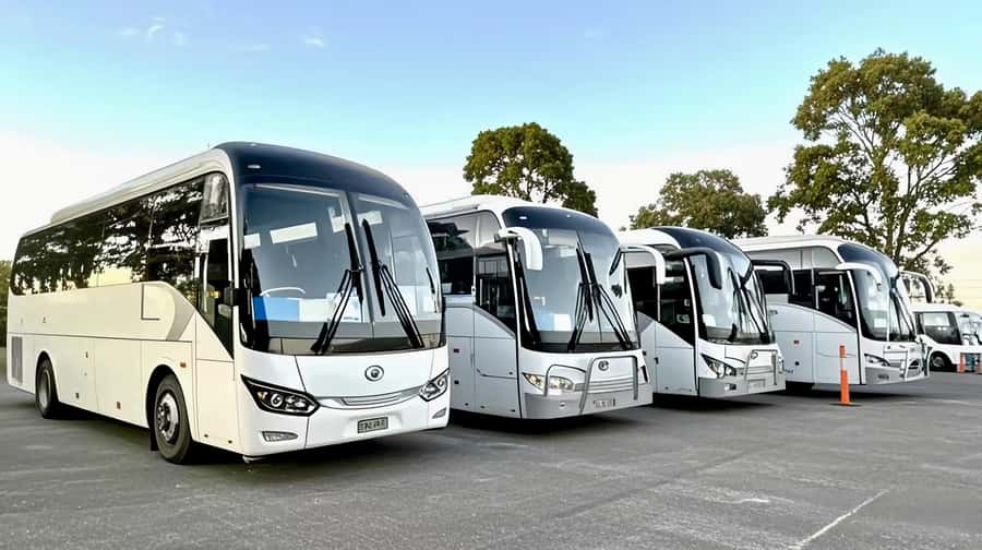 Melbourne Great Ocean Road Benz SmallGroup&LuxCoach BigGroup - Kennett River brings the wildlife break