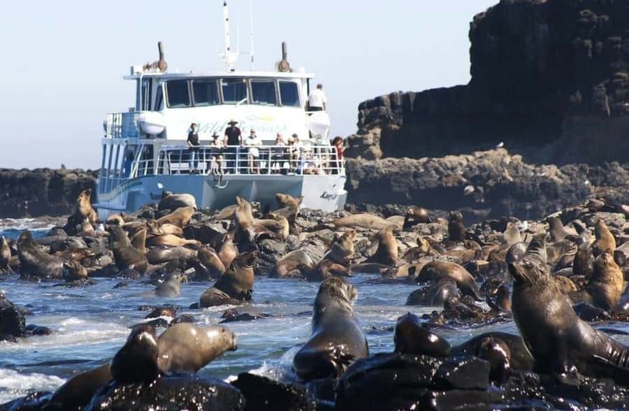 Melbourne: Phillip Island Tour w/ Hop-on Bus or Seal Cruise - San Remo gives you the first taste of Bass Strait
