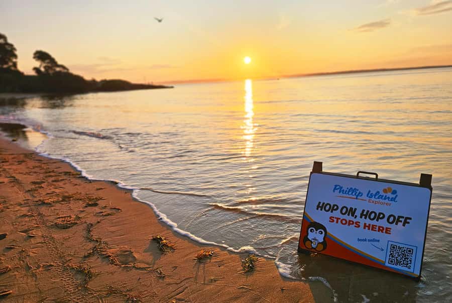 Melbourne: Phillip Island Tour w/ Hop-on Bus or Seal Cruise - What the $116 price really covers