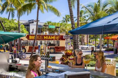 Everglades Experience, Bay Cruise & Open-Top Bus Tour