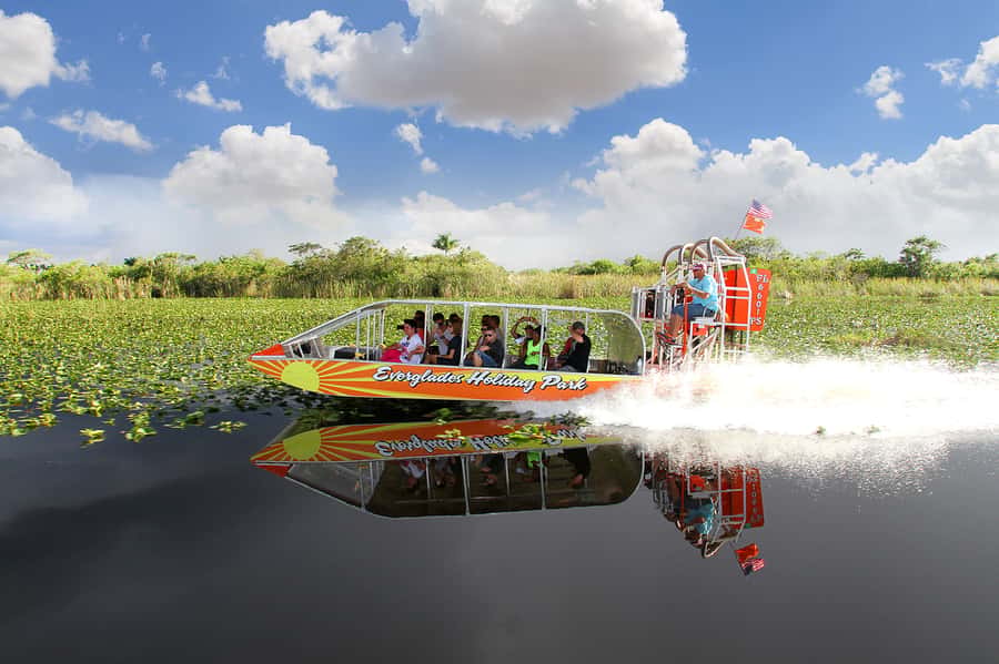 Miami: Everglades Experience, Bay Cruise & Open-Top Bus Tour - What is included, and what is not