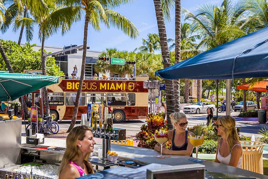 Miami: Everglades Experience, Bay Cruise & Open-Top Bus Tour - Starting points at Miami Beach or Bayside Marketplace