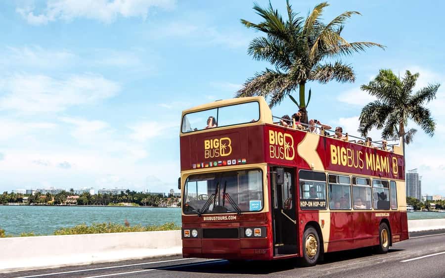 Miami: Hop-on Hop-off Open-top Bus Tour and Optional Cruise - Why this bus works well in spread-out Miami