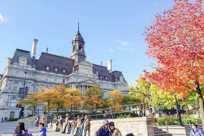 Montreal: Guided Bus Tour - Mount Royal Park and Saint Joseph’s Oratory