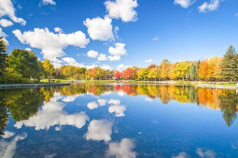 Montreal: Guided Bus Tour - Comfort, timing, and the limits of a panoramic tour