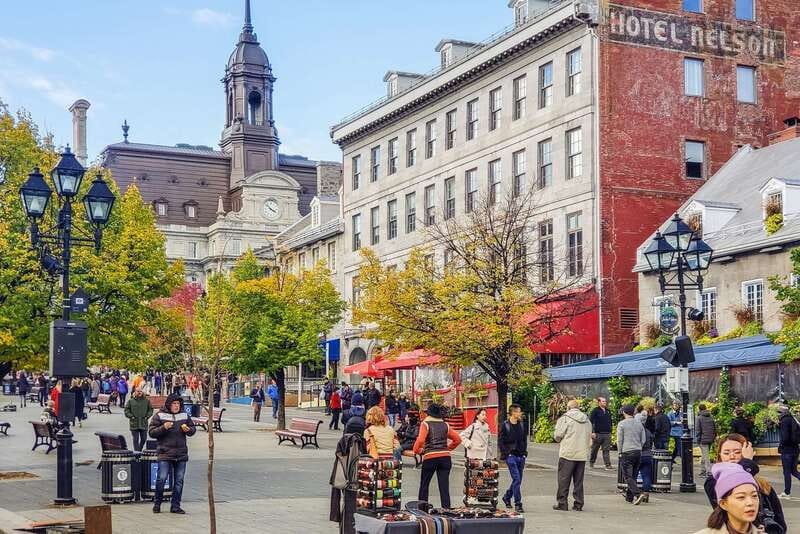 Montreal: Hop-On Hop-Off Double-Decker Bus Tour - Should you book the Montreal bus tour?