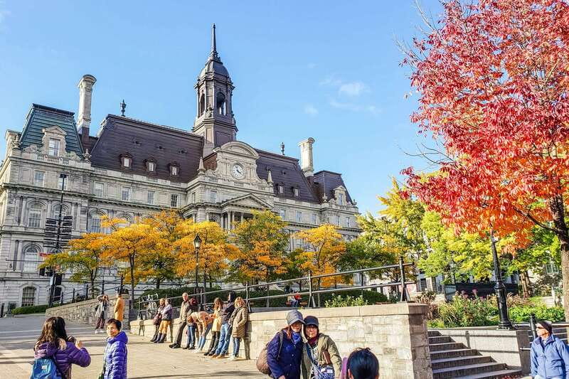 Montreal: Hop-On Hop-Off Double-Decker Bus Tour - Comfort, weather, and service delays
