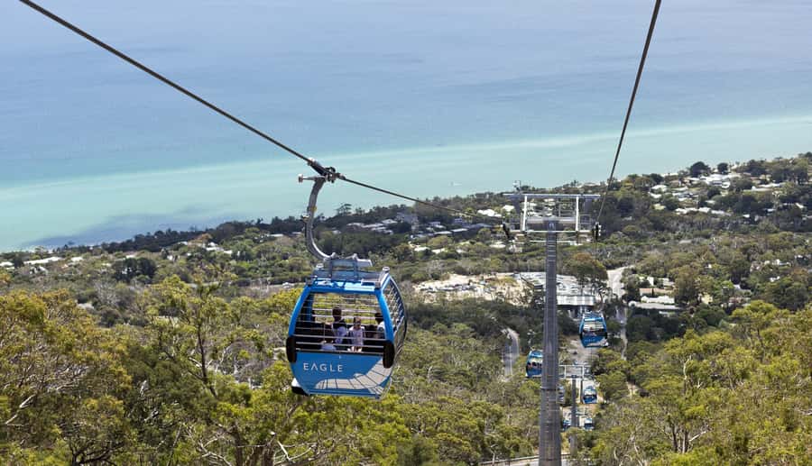 Mornington Peninsula Scenic Bus Tour with Chairlift & Lunch - Should you book this Mornington Peninsula tour?