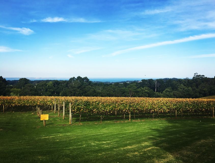 Mornington Peninsula Winery Bus Tour with Lunch & Wine - Scenic stops show you more than cellar doors