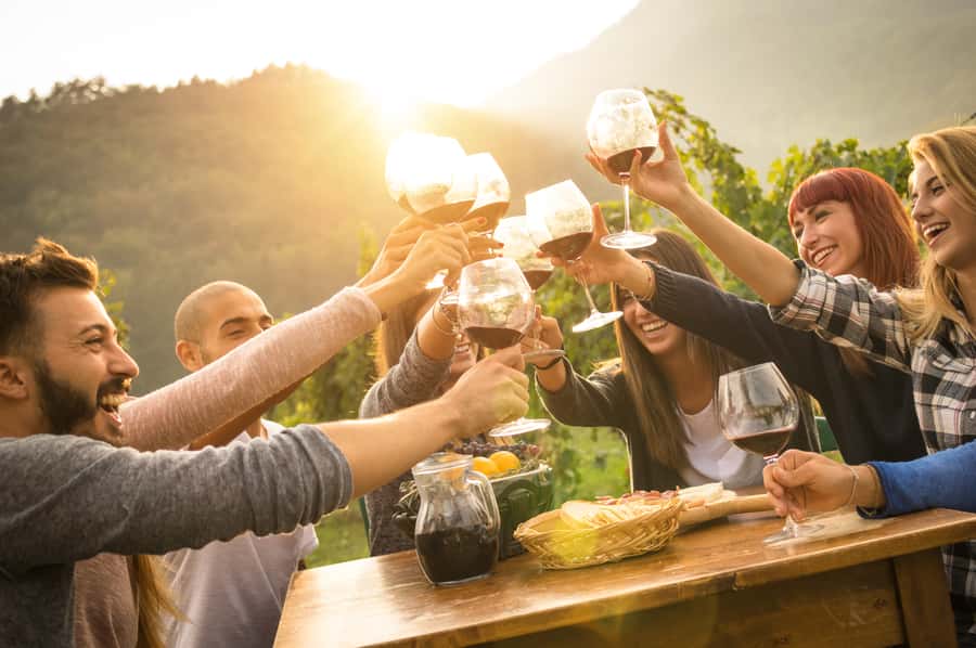 Mornington Peninsula Winery Bus Tour with Lunch & Wine - The guide can make or break the ride