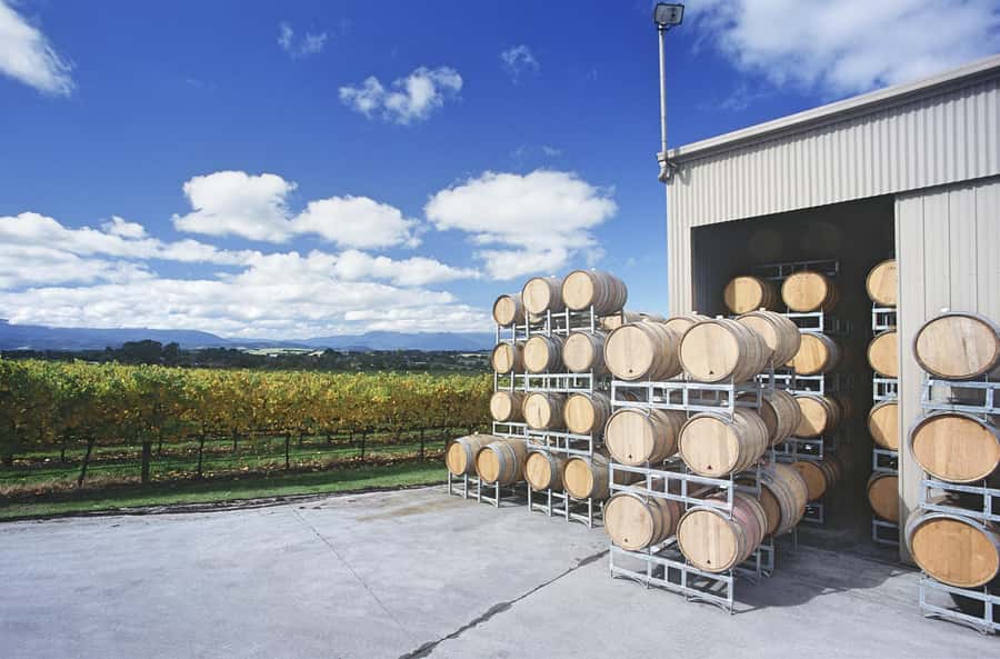 Mornington Peninsula Winery Bus Tour with Lunch & Wine - Should you book the Mornington Peninsula Winery Bus Tour?