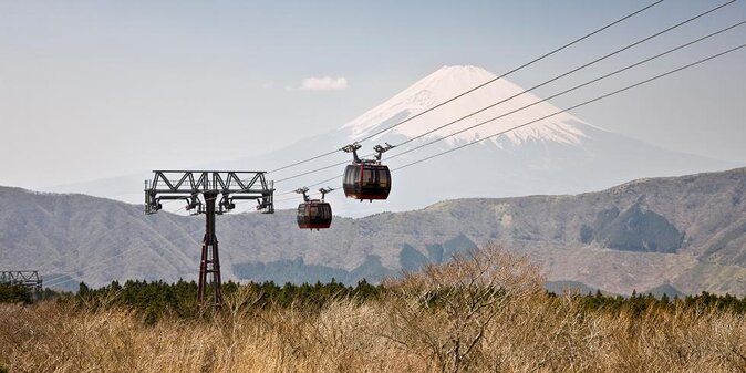 Mt Fuji and Hakone 1-Day Bus Tour Return by Bus - Key points to know before booking